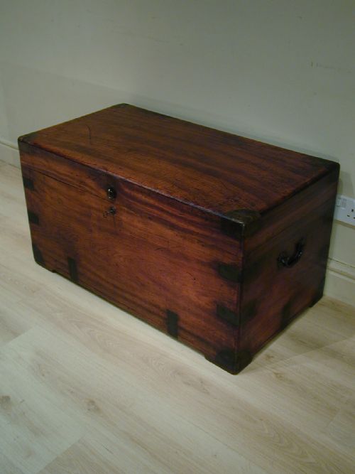 FINEST QUALITY CAMPHORWOOD TRUNK - ADDITIONAL PHOTO 5