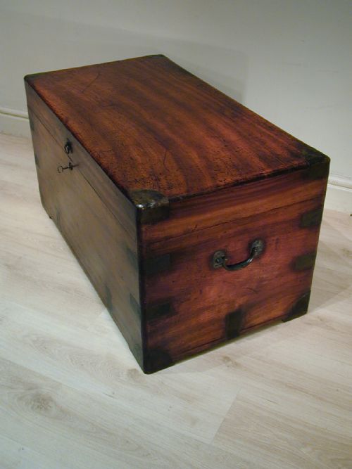 FINEST QUALITY CAMPHORWOOD TRUNK - ADDITIONAL PHOTO 6