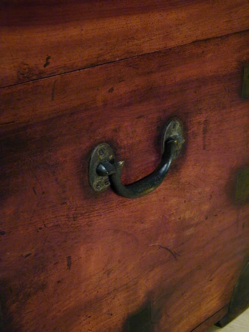 FINEST QUALITY CAMPHORWOOD TRUNK - ADDITIONAL PHOTO 7