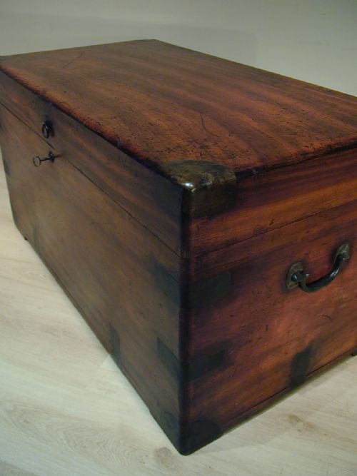 FINEST QUALITY CAMPHORWOOD TRUNK - ADDITIONAL PHOTO 8