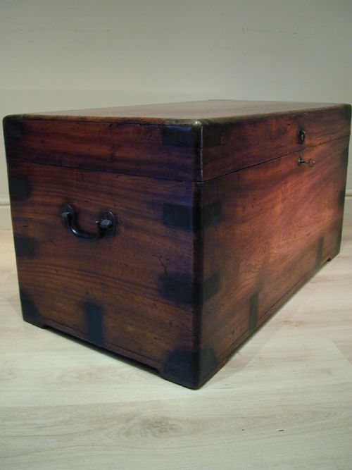 FINEST QUALITY CAMPHORWOOD TRUNK - ADDITIONAL PHOTO 9