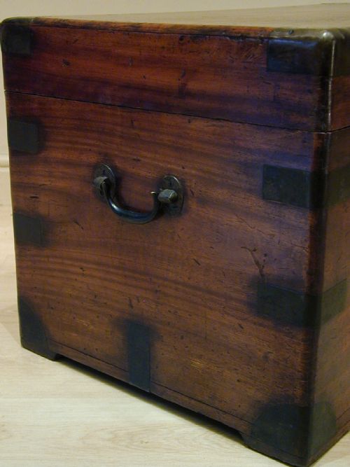 FINEST QUALITY CAMPHORWOOD TRUNK - ADDITIONAL PHOTO 10