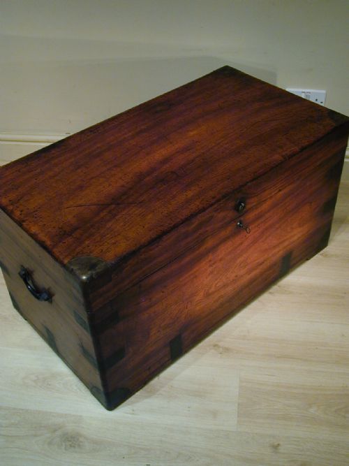 FINEST QUALITY CAMPHORWOOD TRUNK - ADDITIONAL PHOTO 11
