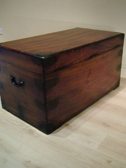 FINEST QUALITY CAMPHORWOOD TRUNK - ADDITIONAL PHOTO 12