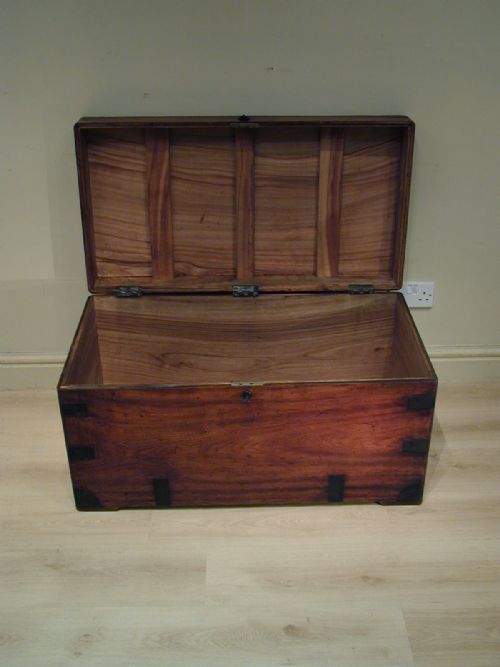 FINEST QUALITY CAMPHORWOOD TRUNK - ADDITIONAL PHOTO 13