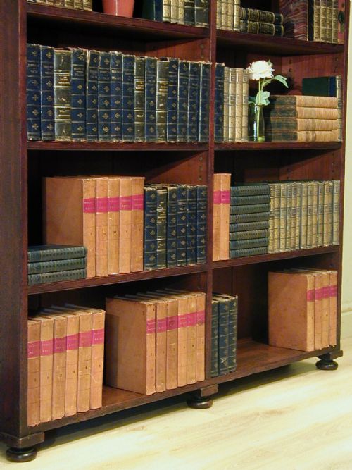 A FINE REGENCY BOOKCASE - ADDITIONAL PHOTO 10