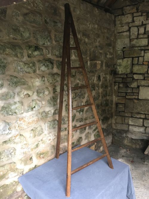 fruit picker's ladder towel rail - CATEGORY: ANTIQUE MISCELLANEOUS - DATED 1910