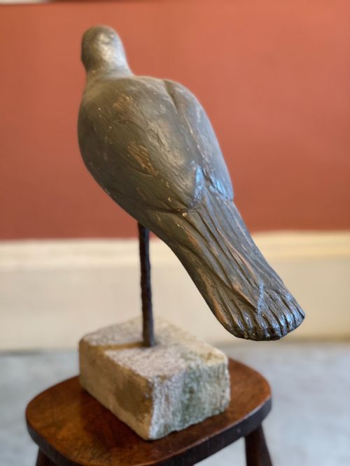BEAUTIFUL DECOY PIGEON - ADDITIONAL PHOTO 3