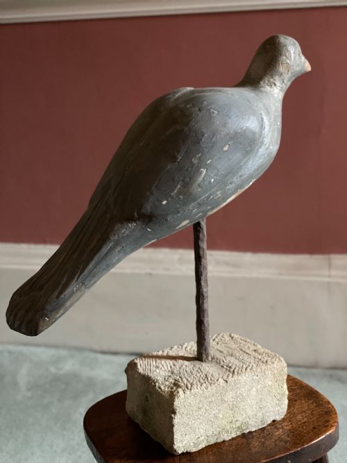BEAUTIFUL DECOY PIGEON - ADDITIONAL PHOTO 8