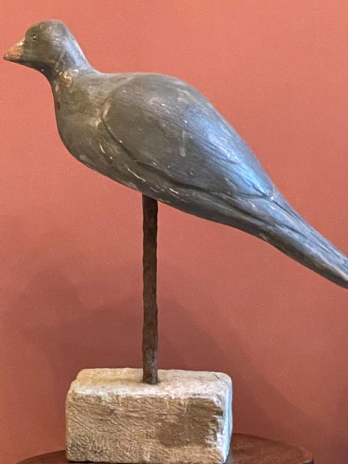 BEAUTIFUL DECOY PIGEON - ADDITIONAL PHOTO 2