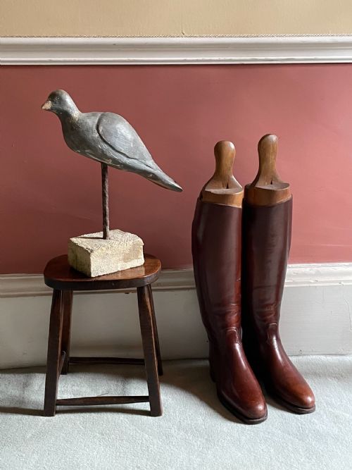 BEAUTIFUL DECOY PIGEON - ADDITIONAL PHOTO 21