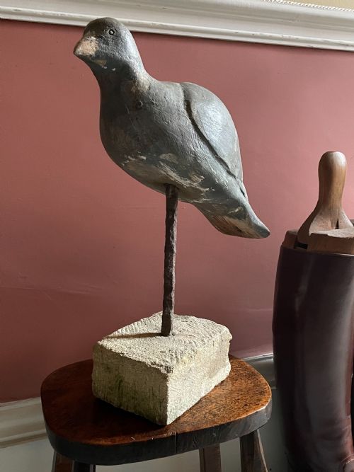 BEAUTIFUL DECOY PIGEON - ADDITIONAL PHOTO 20