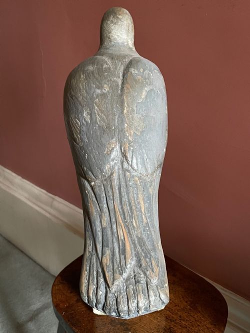 BEAUTIFUL DECOY PIGEON - ADDITIONAL PHOTO 15