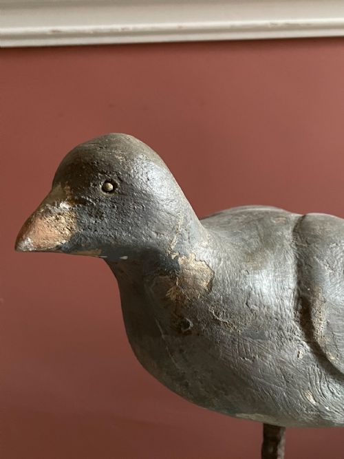 BEAUTIFUL DECOY PIGEON - ADDITIONAL PHOTO 18