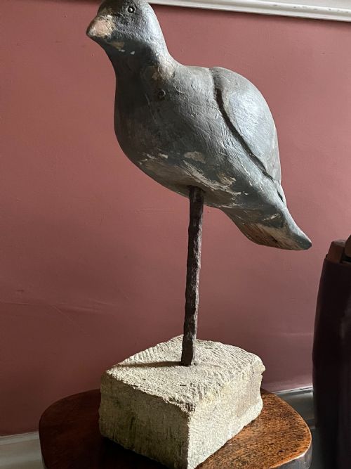BEAUTIFUL DECOY PIGEON - ADDITIONAL PHOTO 19