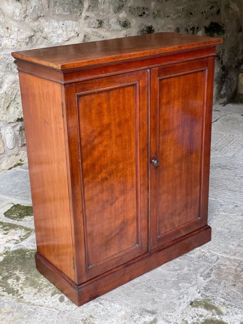 FINE TWODOOR CUPBOARDBOOKCASE - ADDITIONAL PHOTO 19