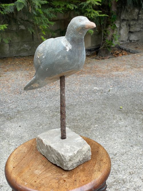 BEAUTIFUL DECOY PIGEON - ADDITIONAL PHOTO 10