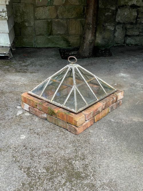 garden cloche - CATEGORY: ANTIQUE MISCELLANEOUS - DATED 1900