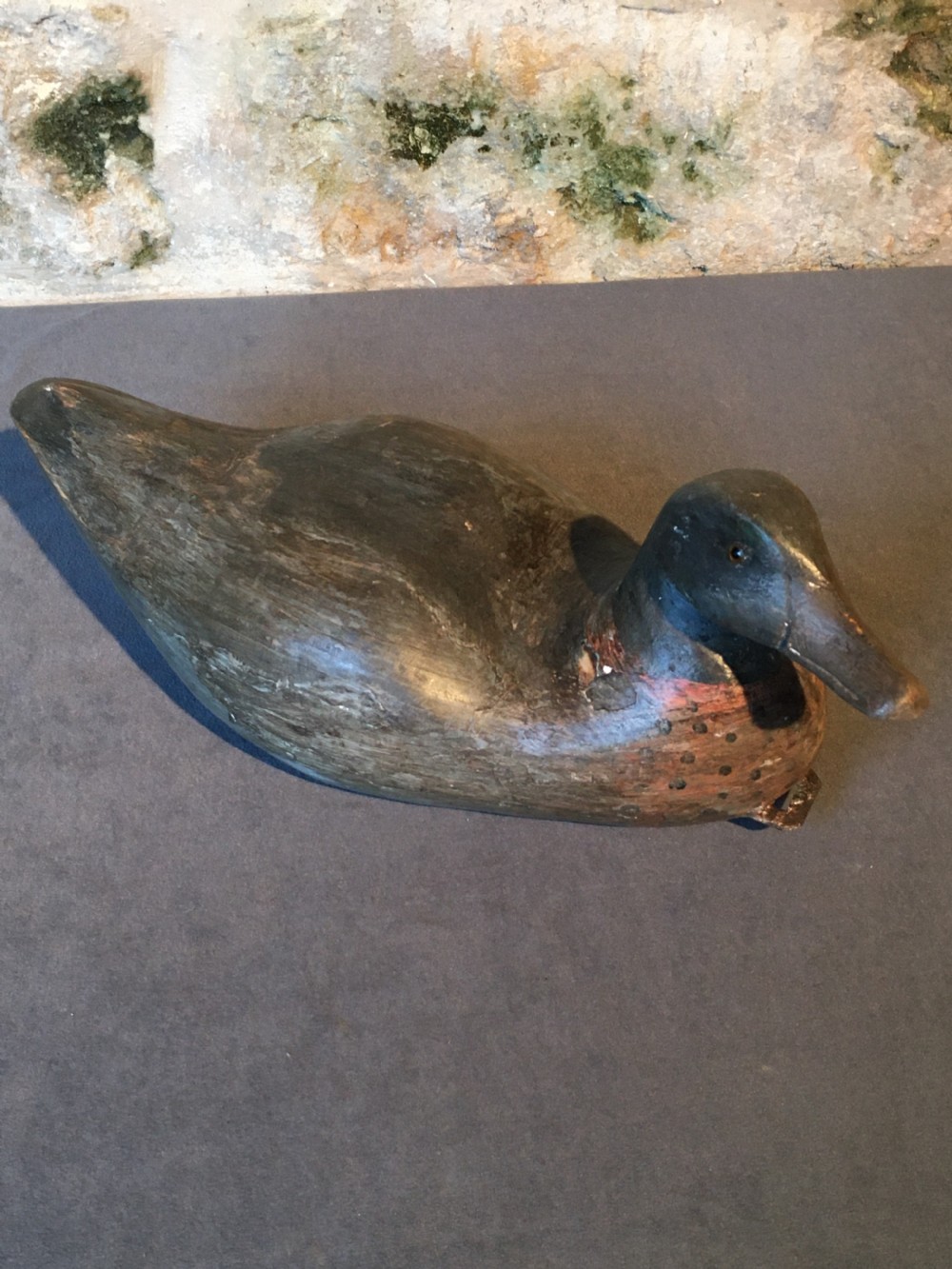 Beautiful decoy duck View VI