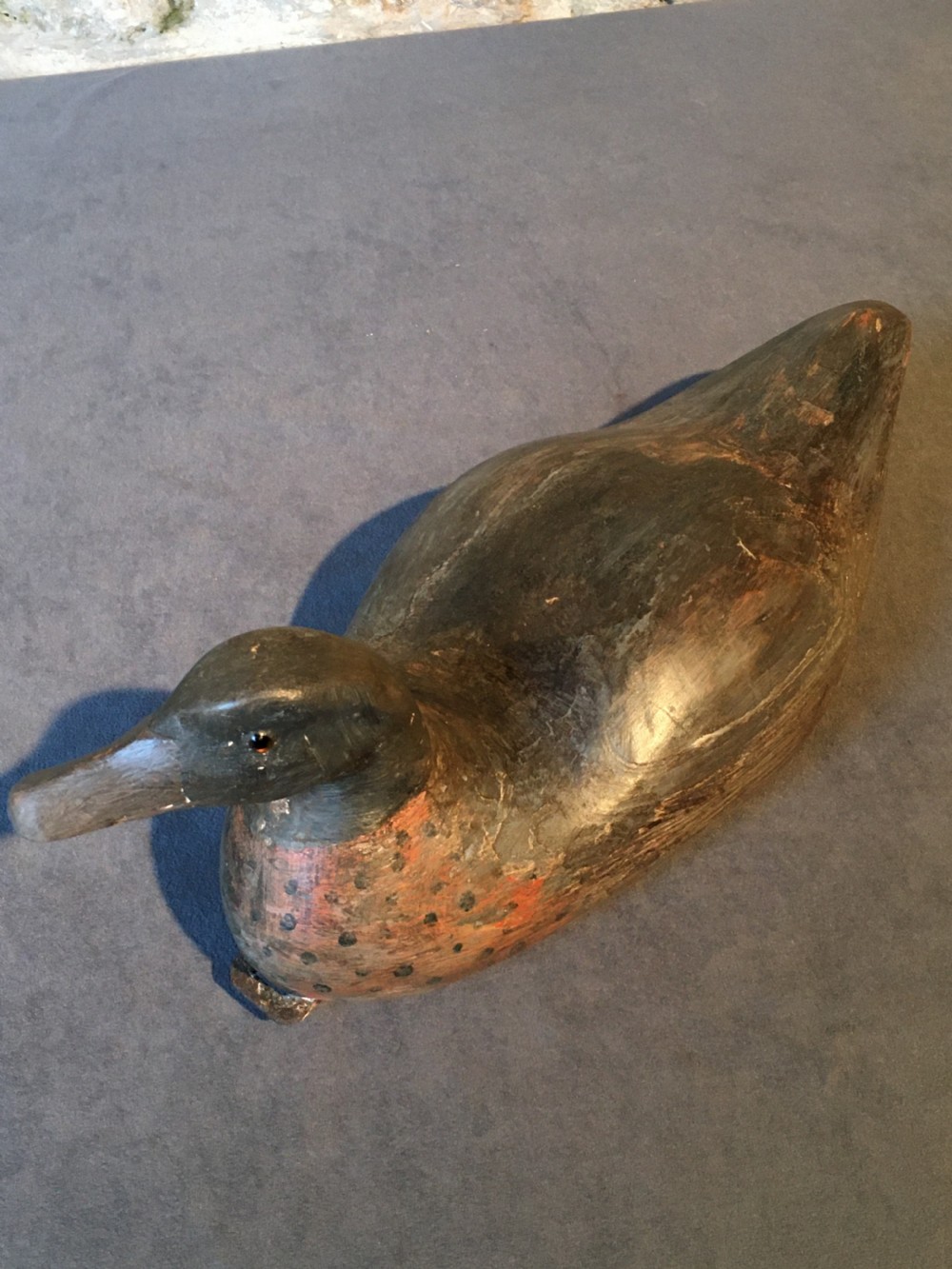 Beautiful decoy duck View VII