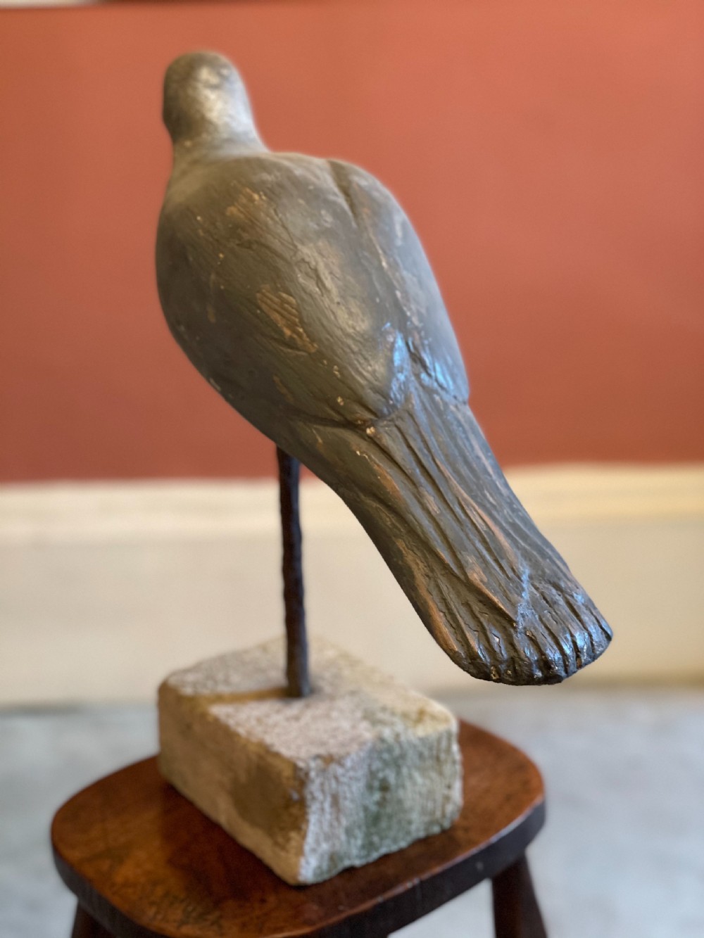Beautiful Decoy Pigeon View IV
