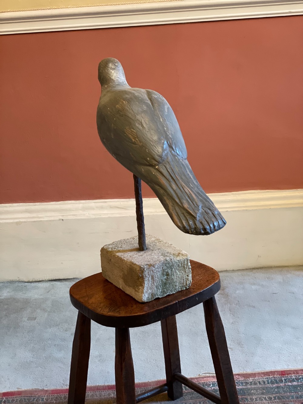 Beautiful Decoy Pigeon View VI
