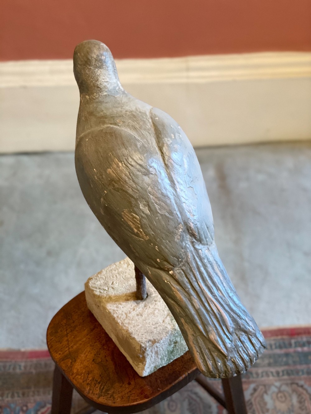 Beautiful Decoy Pigeon View VII