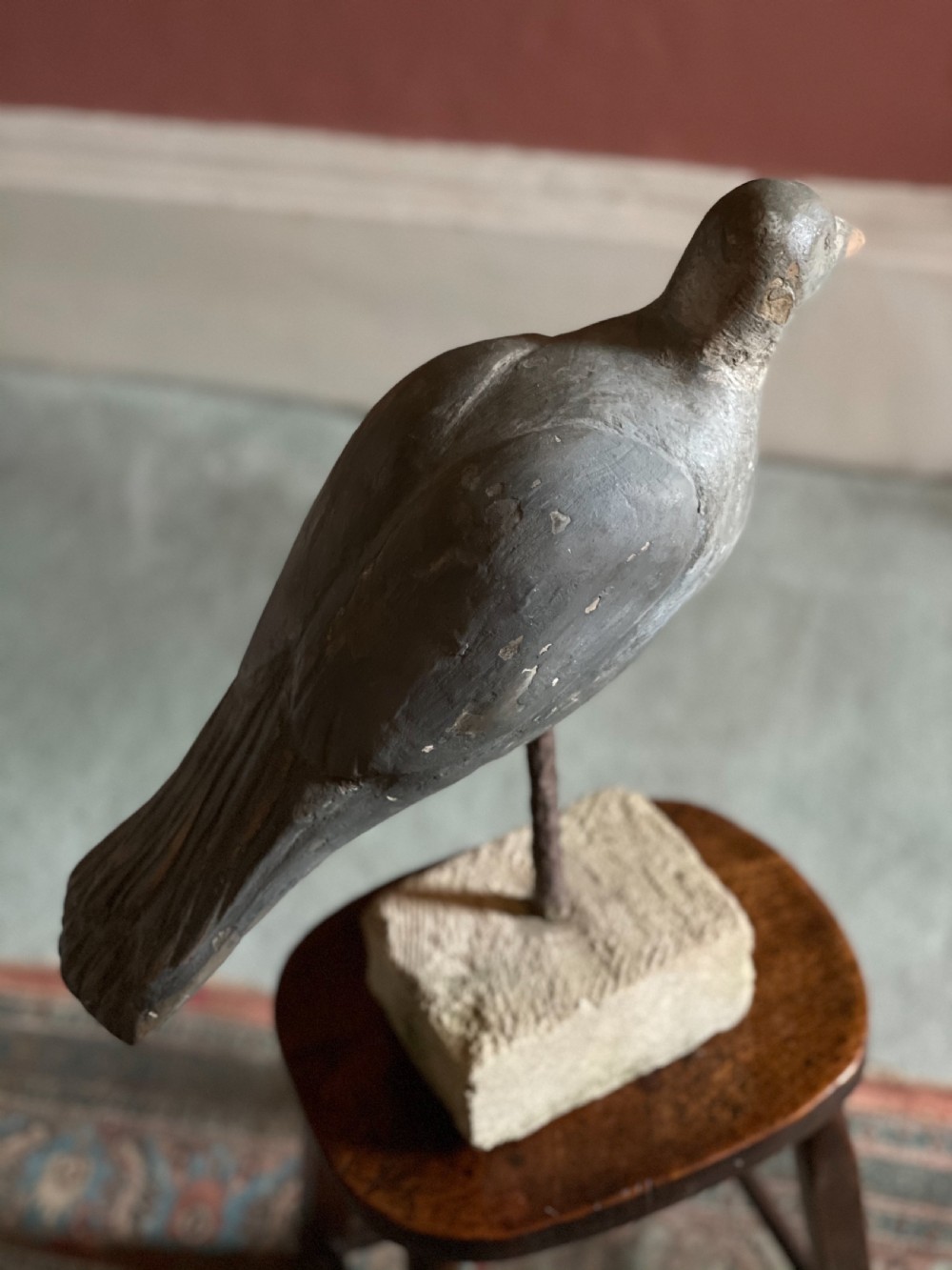 Beautiful Decoy Pigeon View VIII