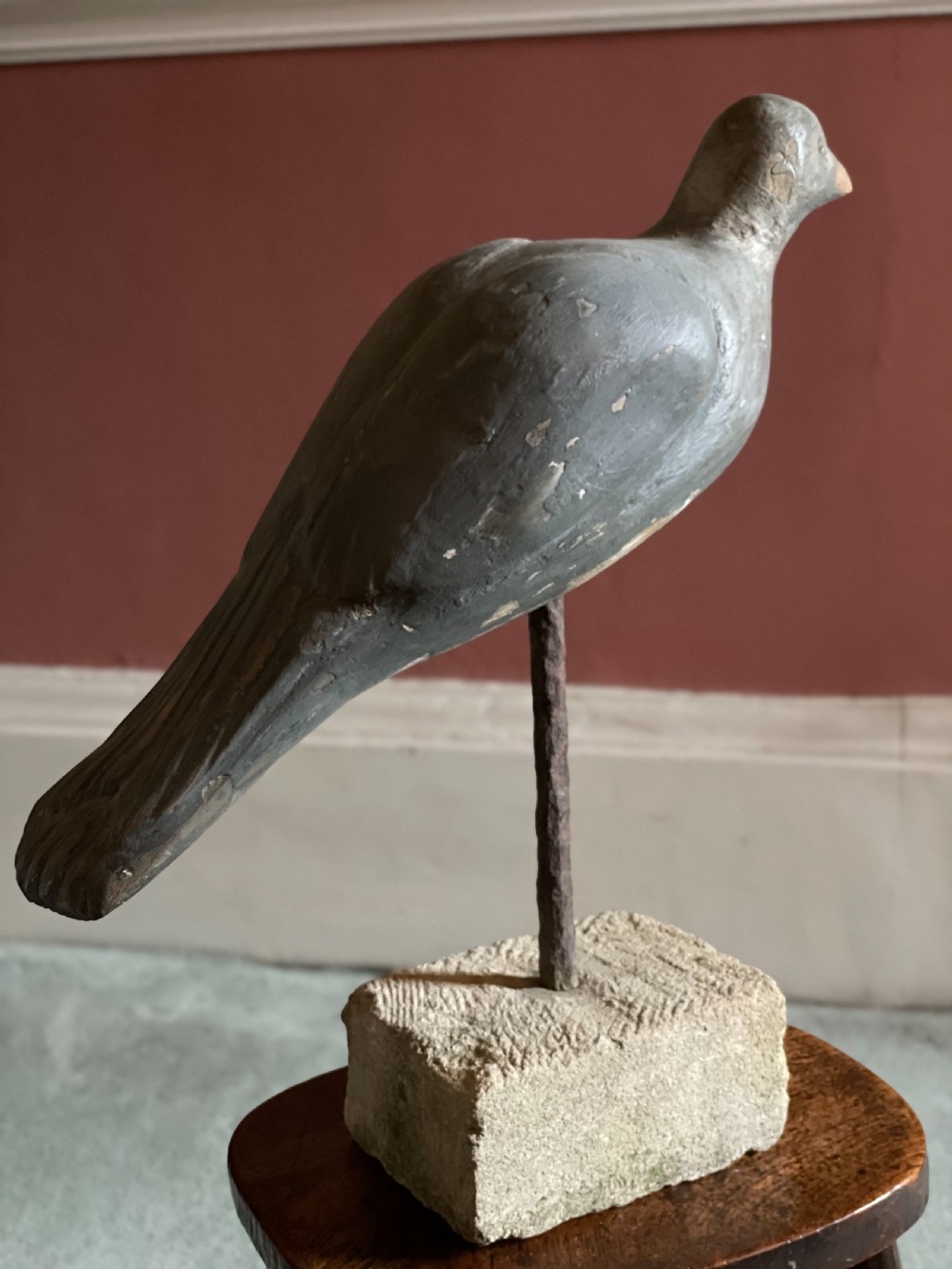 Beautiful Decoy Pigeon View IX