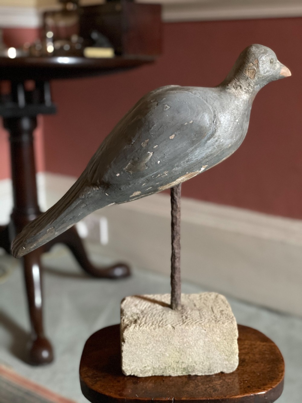 Beautiful Decoy Pigeon View X