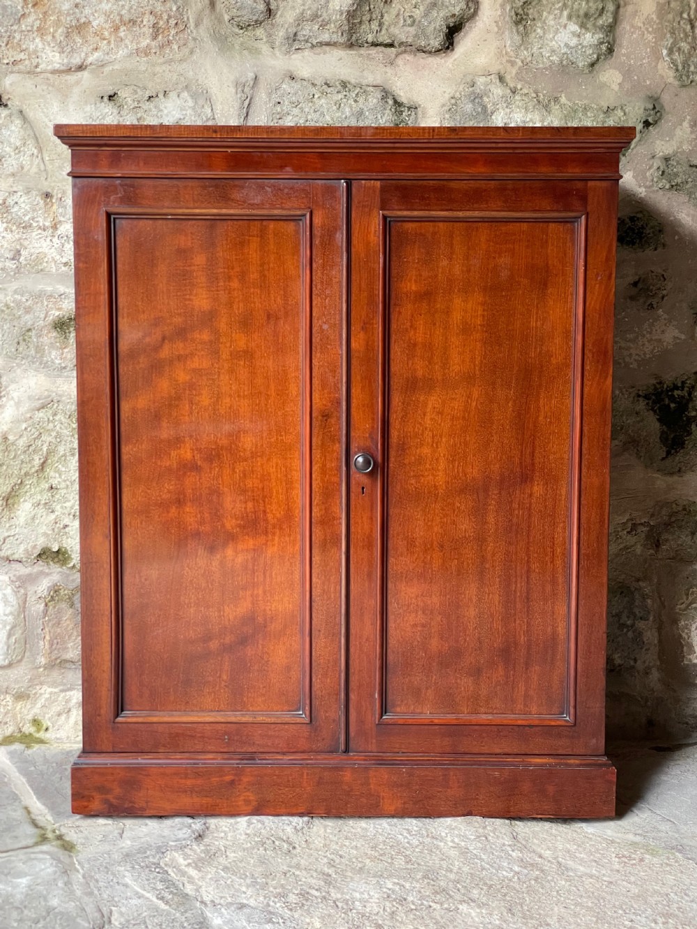 Fine two-door cupboard/bookcase
