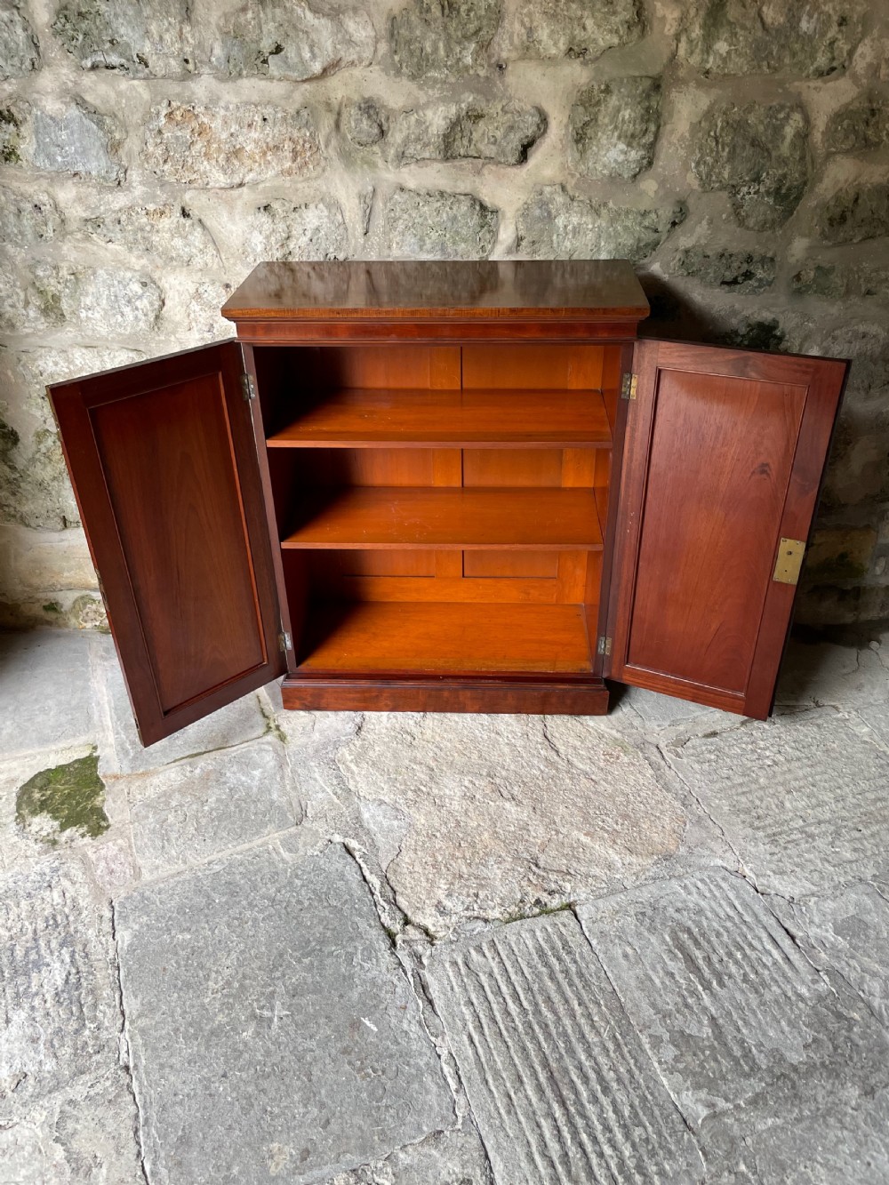 Fine two-door cupboard/bookcase View IX