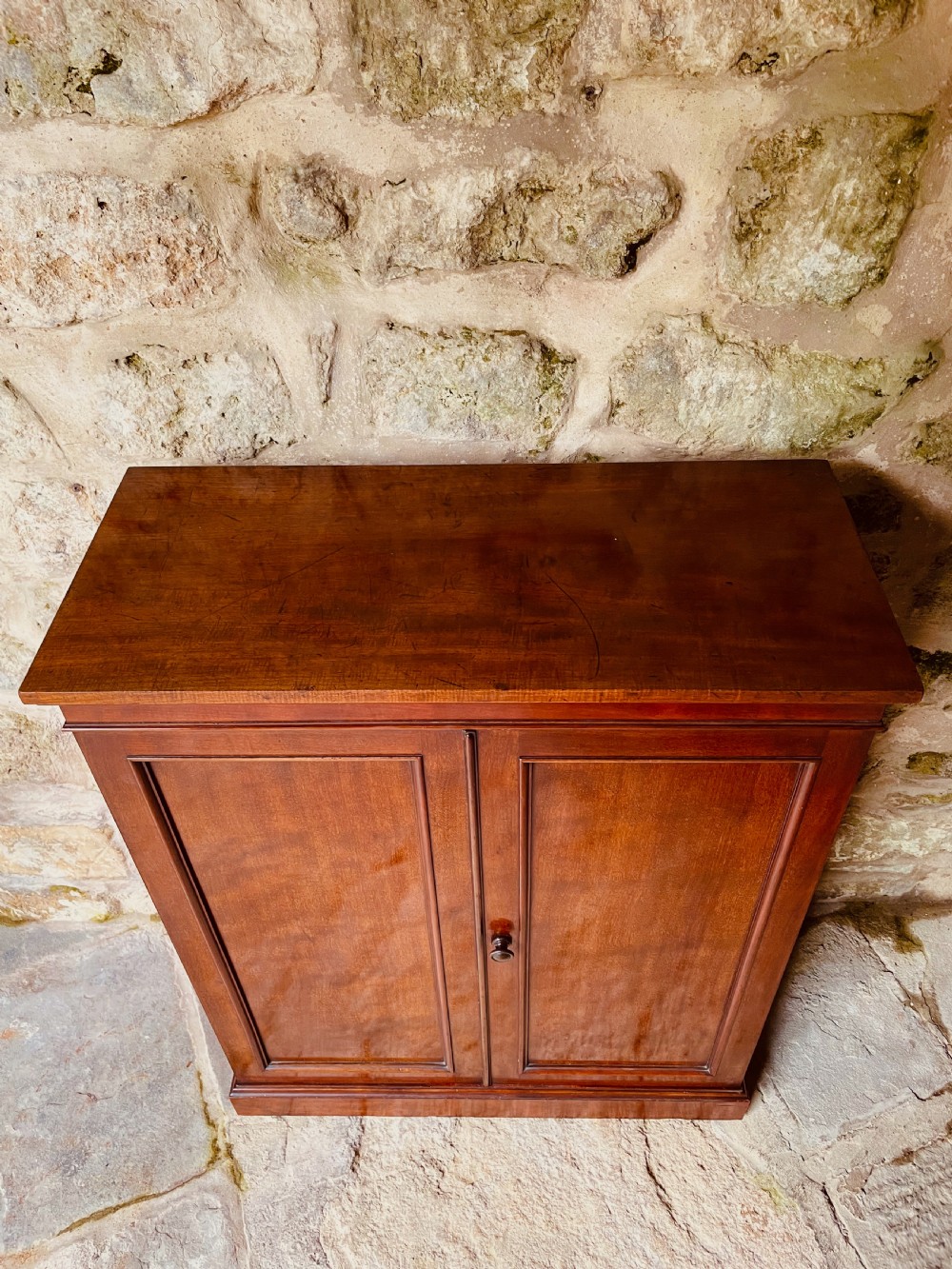 Fine two-door cupboard/bookcase View X