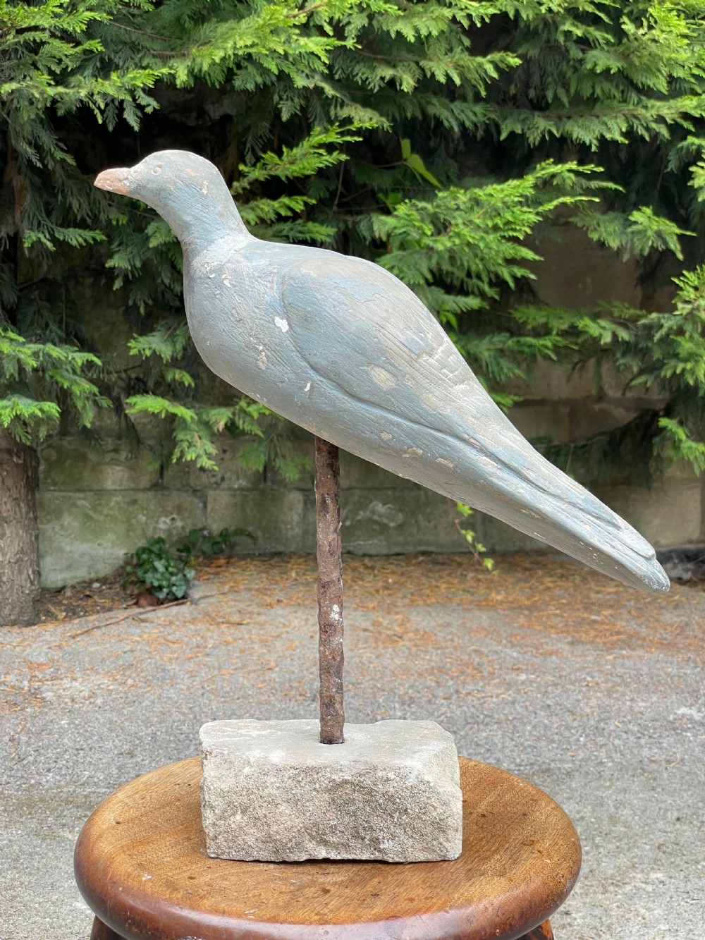 Beautiful Decoy Pigeon