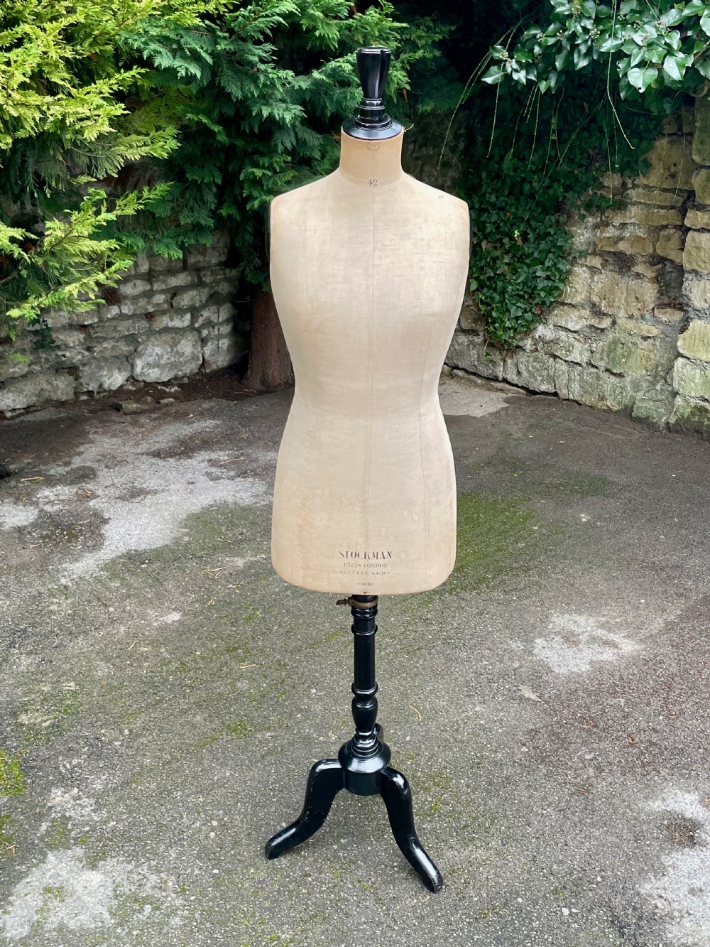 Top quality tailor's dummy or mannequin  View IV