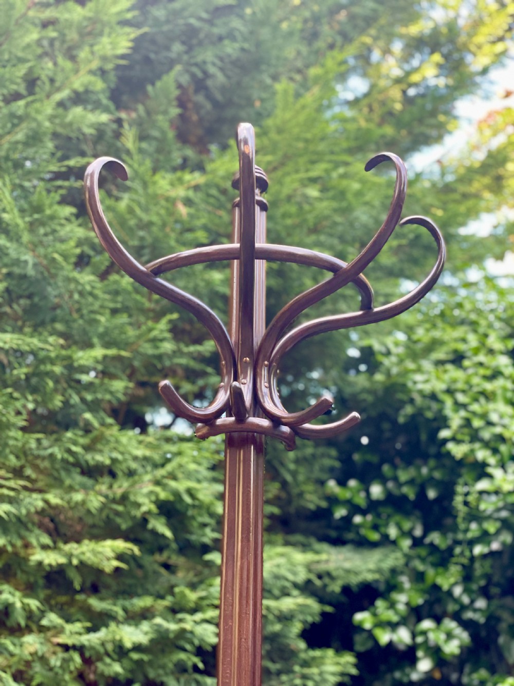 Fine Bentwood Hat and Coat Hall Stand View IV