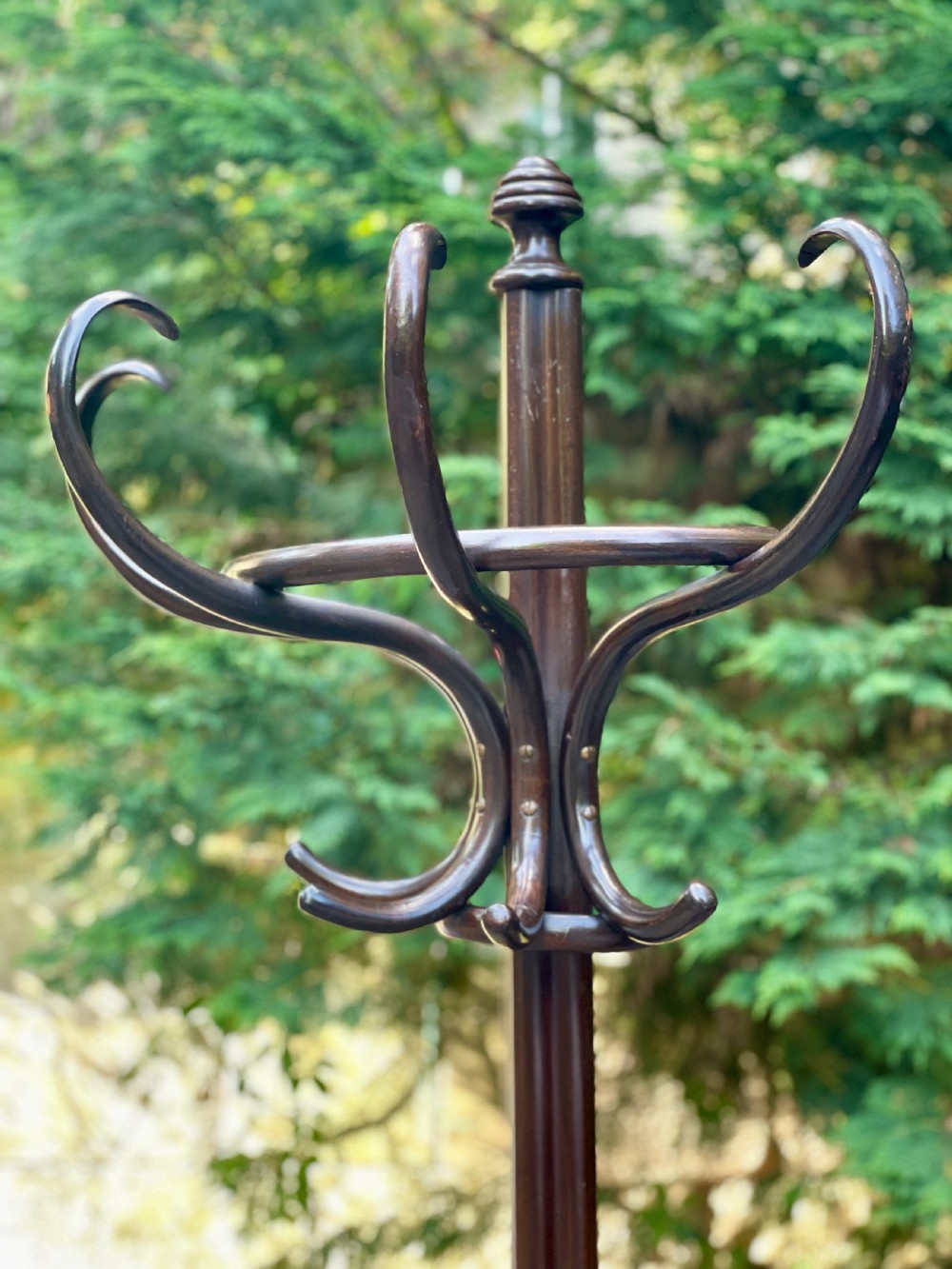 Fine Bentwood Hat and Coat Hall Stand View V
