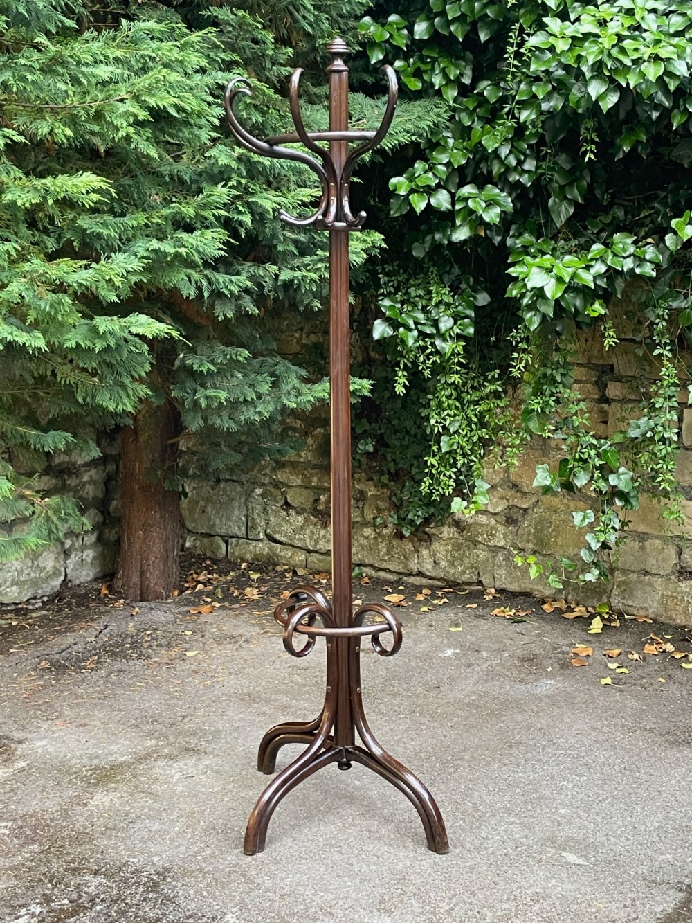 Fine Bentwood Hat and Coat Hall Stand View VII