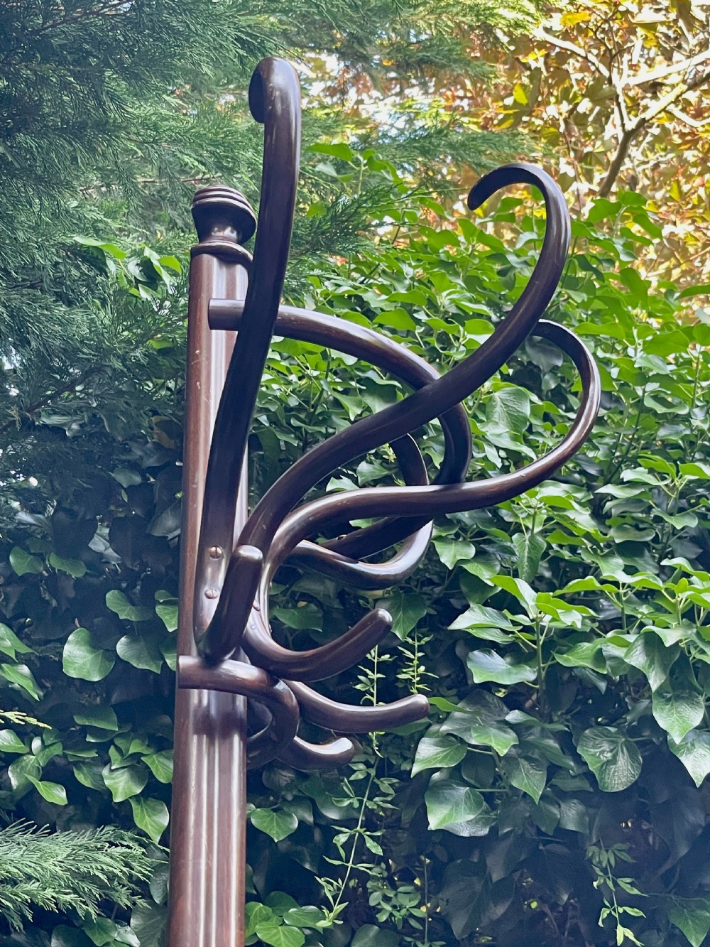 Fine Bentwood Hat and Coat Hall Stand View XII