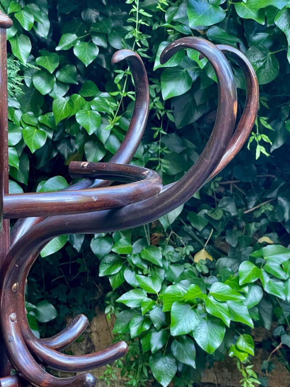 Fine Bentwood Hat and Coat Hall Stand View XIII