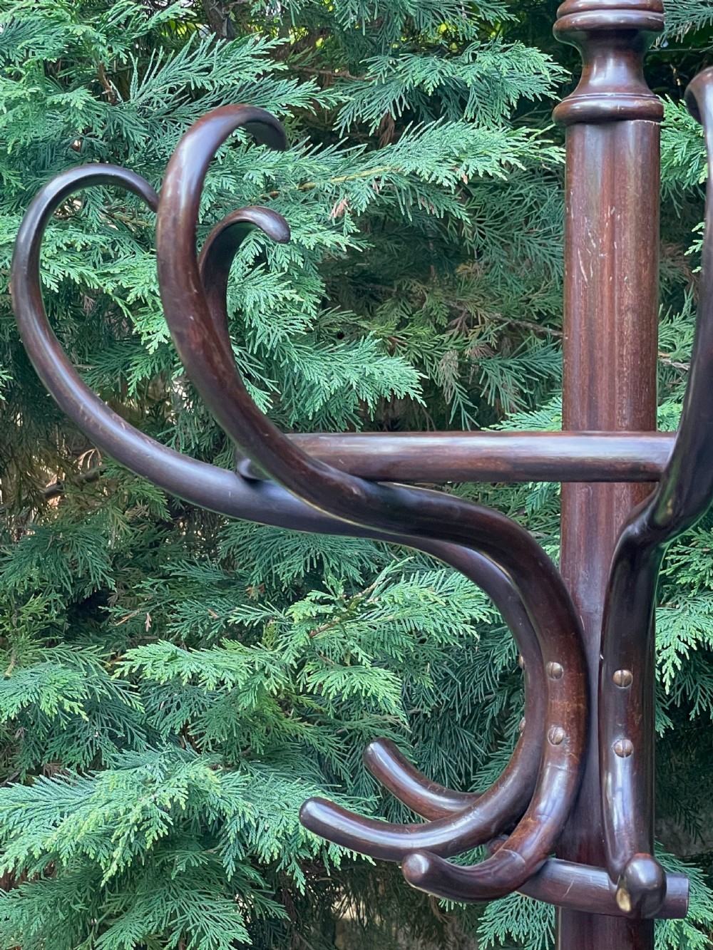 Fine Bentwood Hat and Coat Hall Stand View XIV