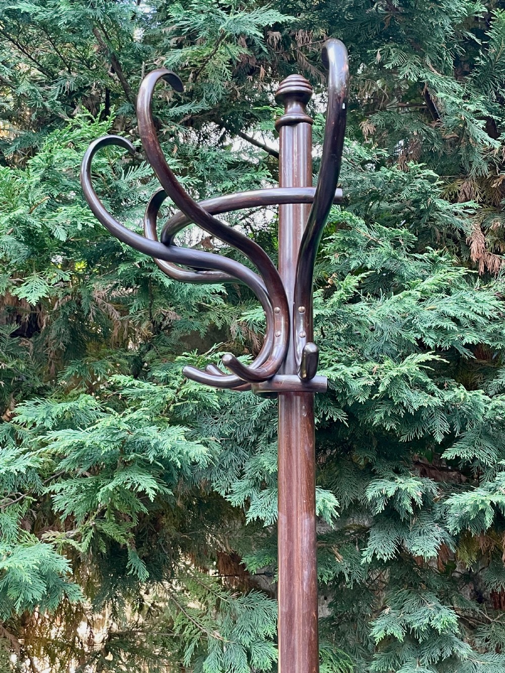 Fine Bentwood Hat and Coat Hall Stand View XVI