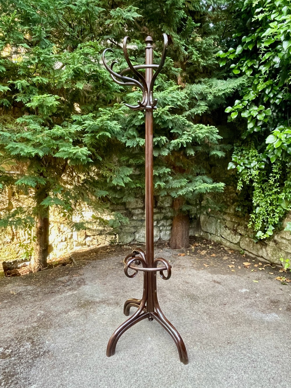 Fine Bentwood Hat and Coat Hall Stand View XVII