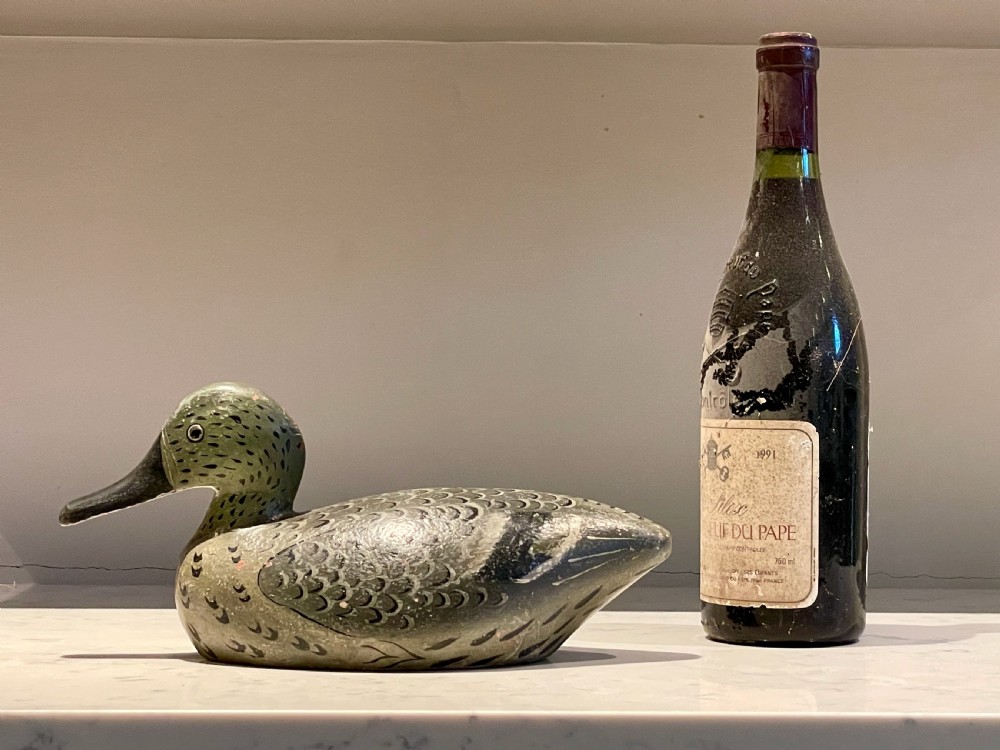 Beautiful Decoy Duck View III