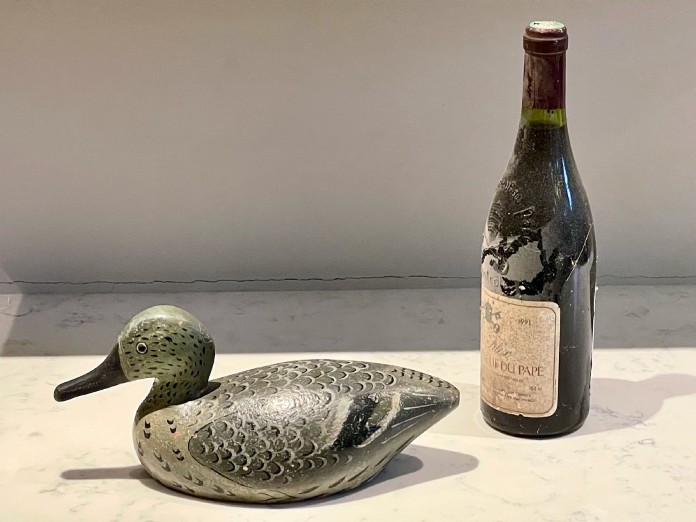 Beautiful Decoy Duck View XVII