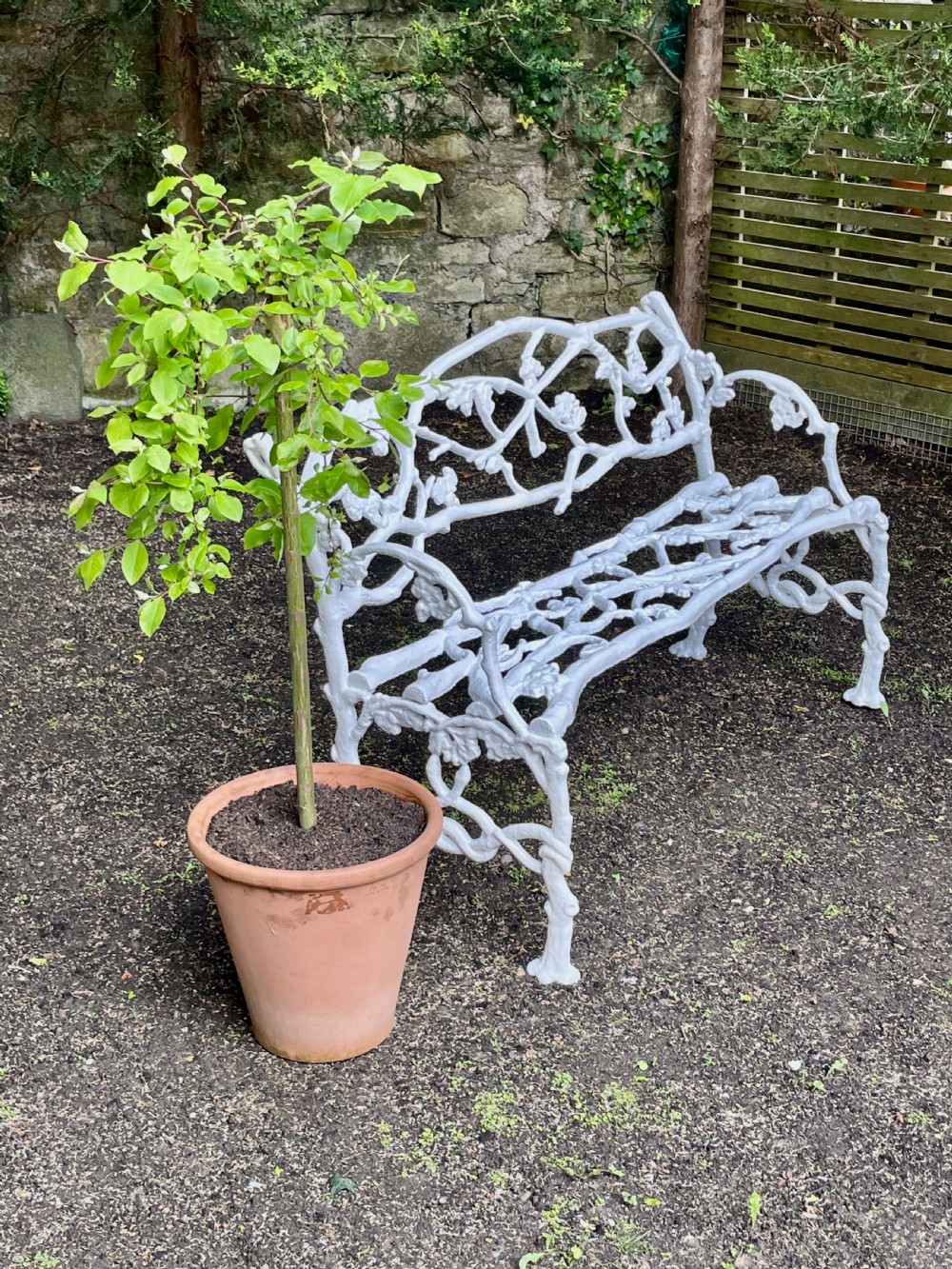 A painted white Victorian cast iron garden bench featuring an intricate intertwined branch and twig motif. View XIV