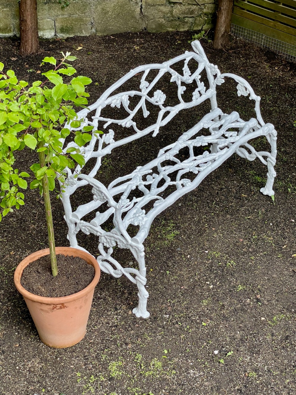 A painted white Victorian cast iron garden bench featuring an intricate intertwined branch and twig motif. View XV