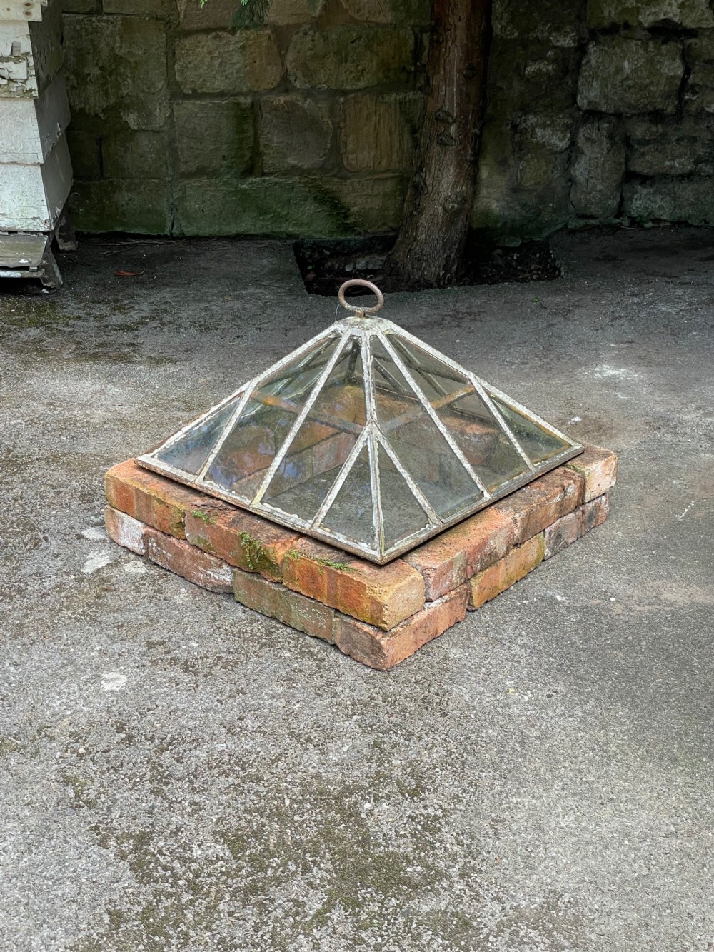 Garden Cloche