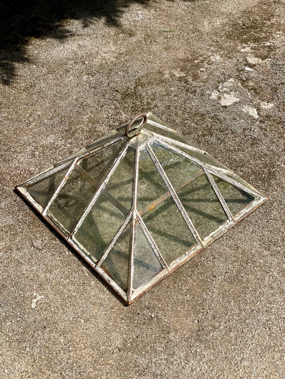 Garden Cloche View II