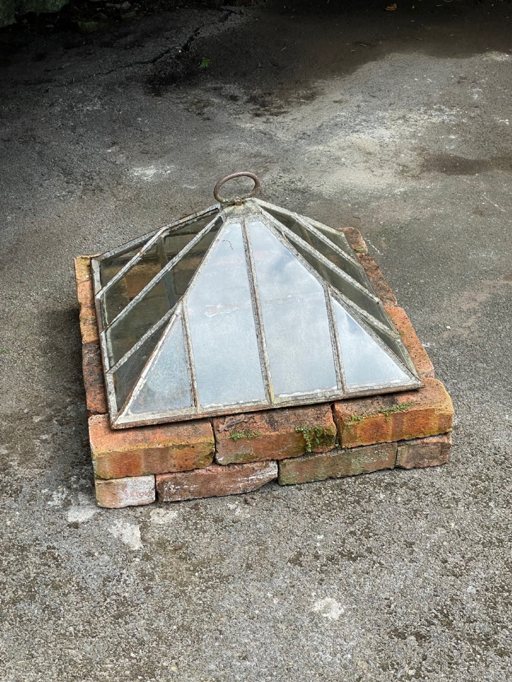 Garden Cloche View III